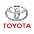 Logo Item