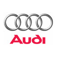 Logo Item