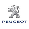 Logo Item